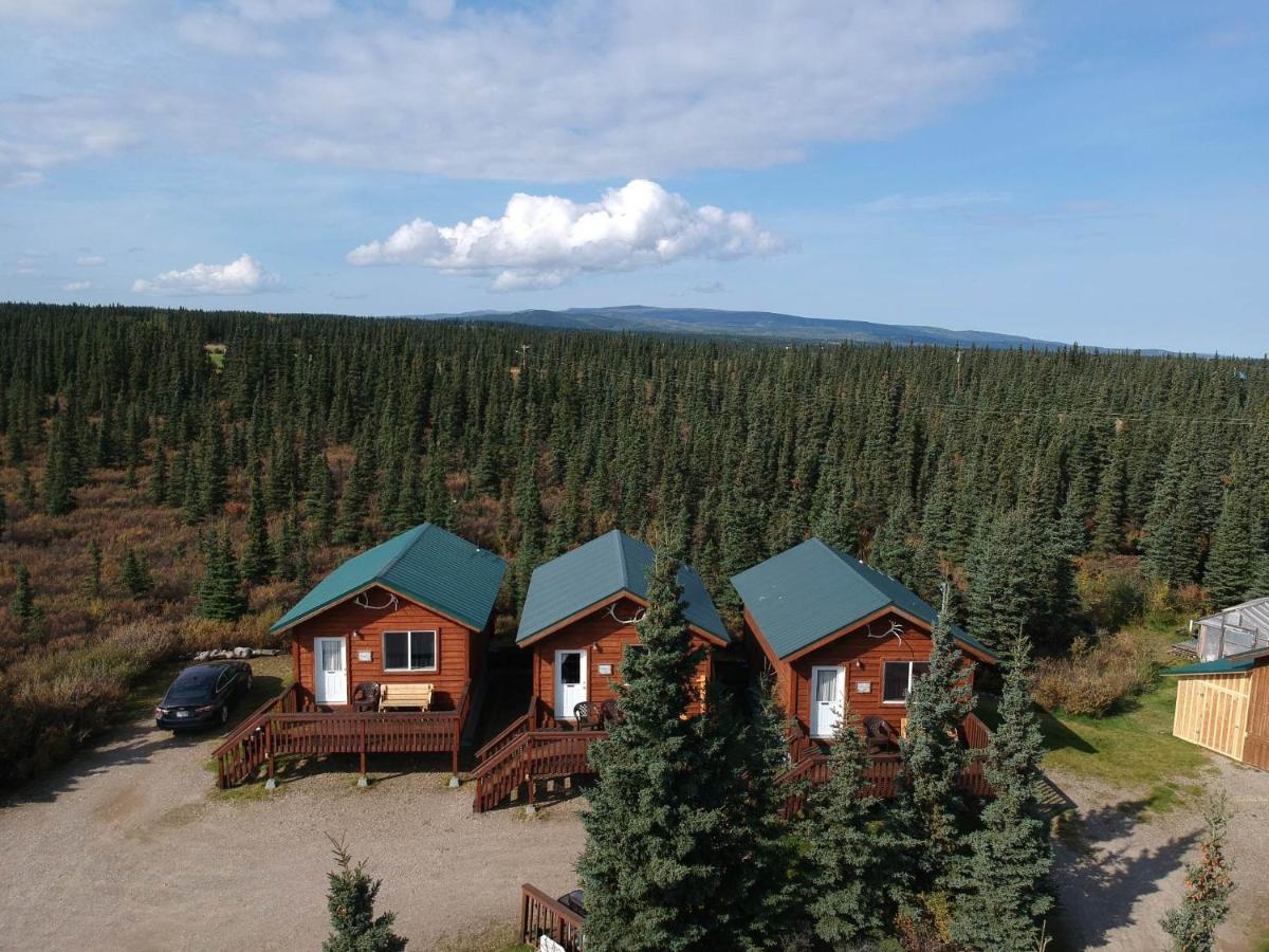 Denali'S Alaskan Spruce Cabins Healy Buitenkant foto