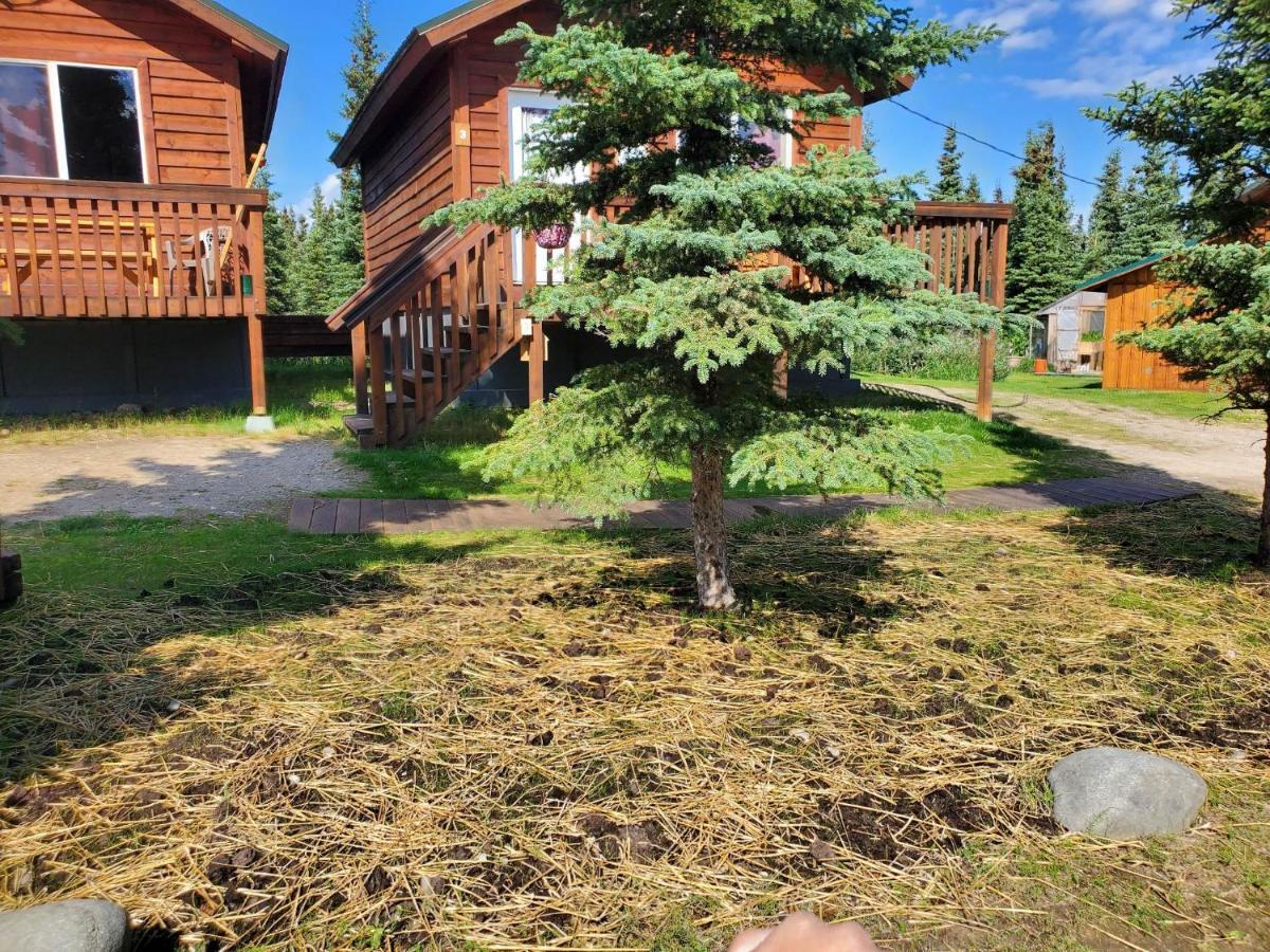 Denali'S Alaskan Spruce Cabins Healy Buitenkant foto