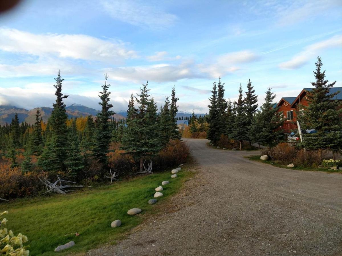 Denali'S Alaskan Spruce Cabins Healy Buitenkant foto