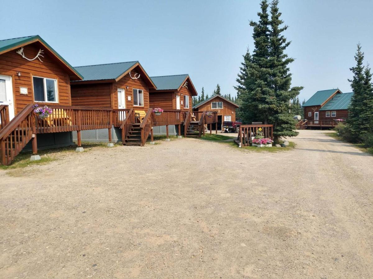 Denali'S Alaskan Spruce Cabins Healy Buitenkant foto