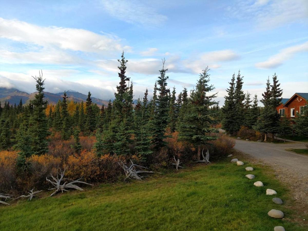 Denali'S Alaskan Spruce Cabins Healy Buitenkant foto