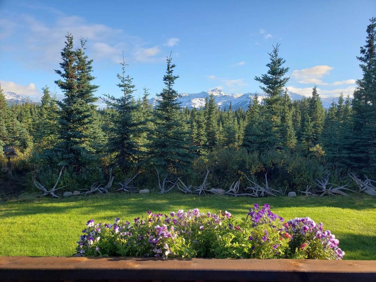 Denali'S Alaskan Spruce Cabins Healy Buitenkant foto