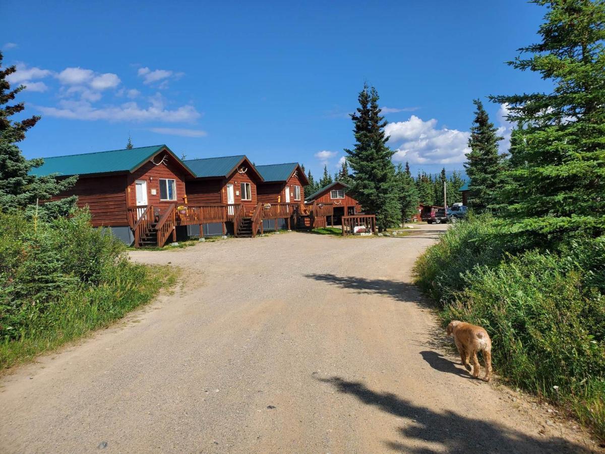 Denali'S Alaskan Spruce Cabins Healy Buitenkant foto