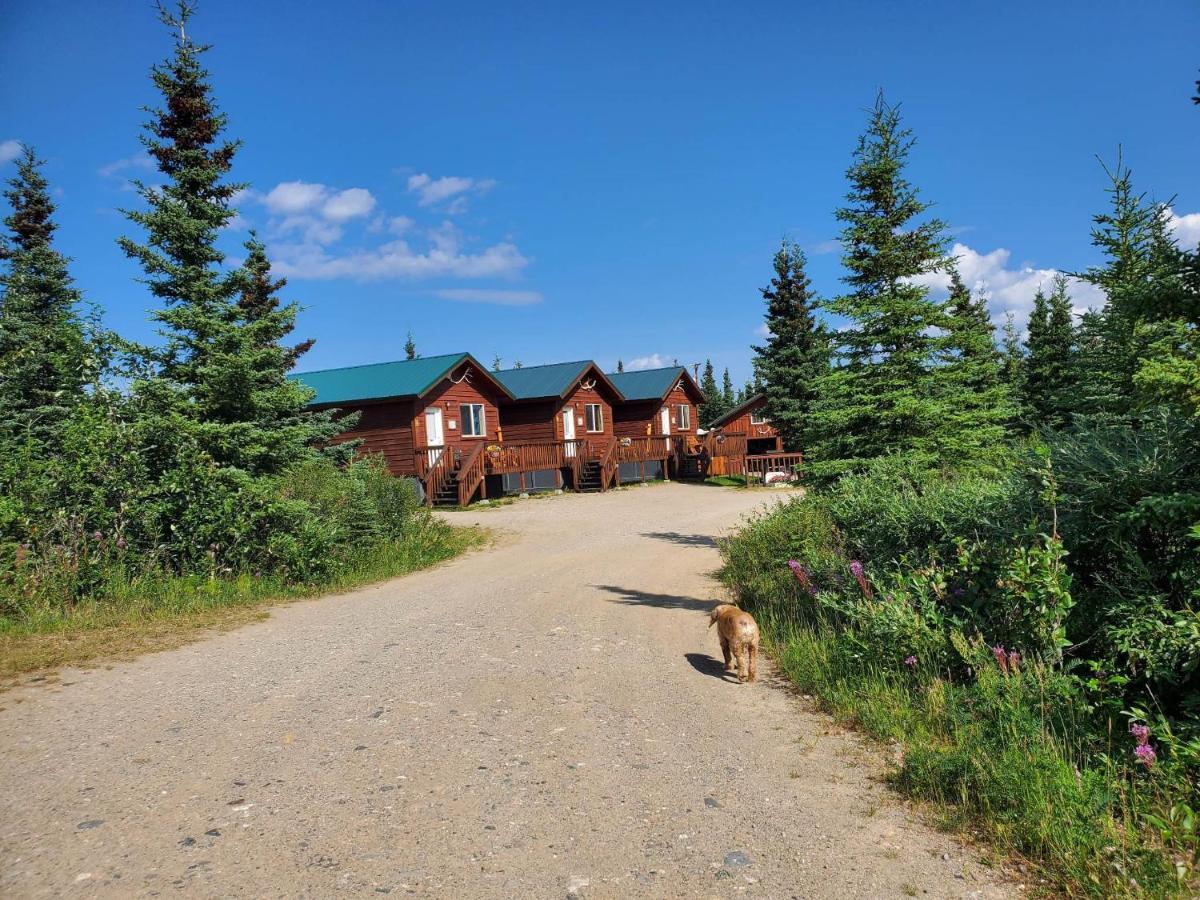 Denali'S Alaskan Spruce Cabins Healy Buitenkant foto