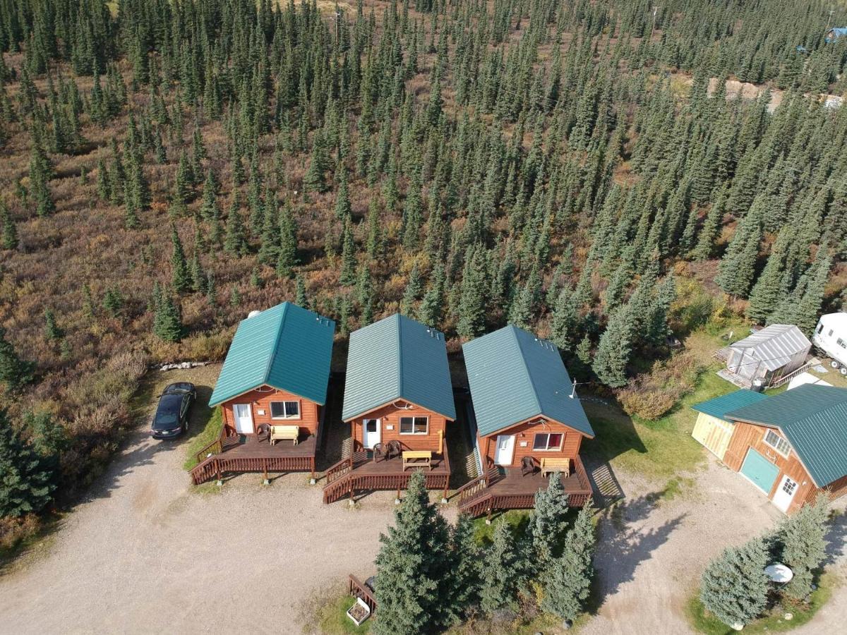Denali'S Alaskan Spruce Cabins Healy Buitenkant foto