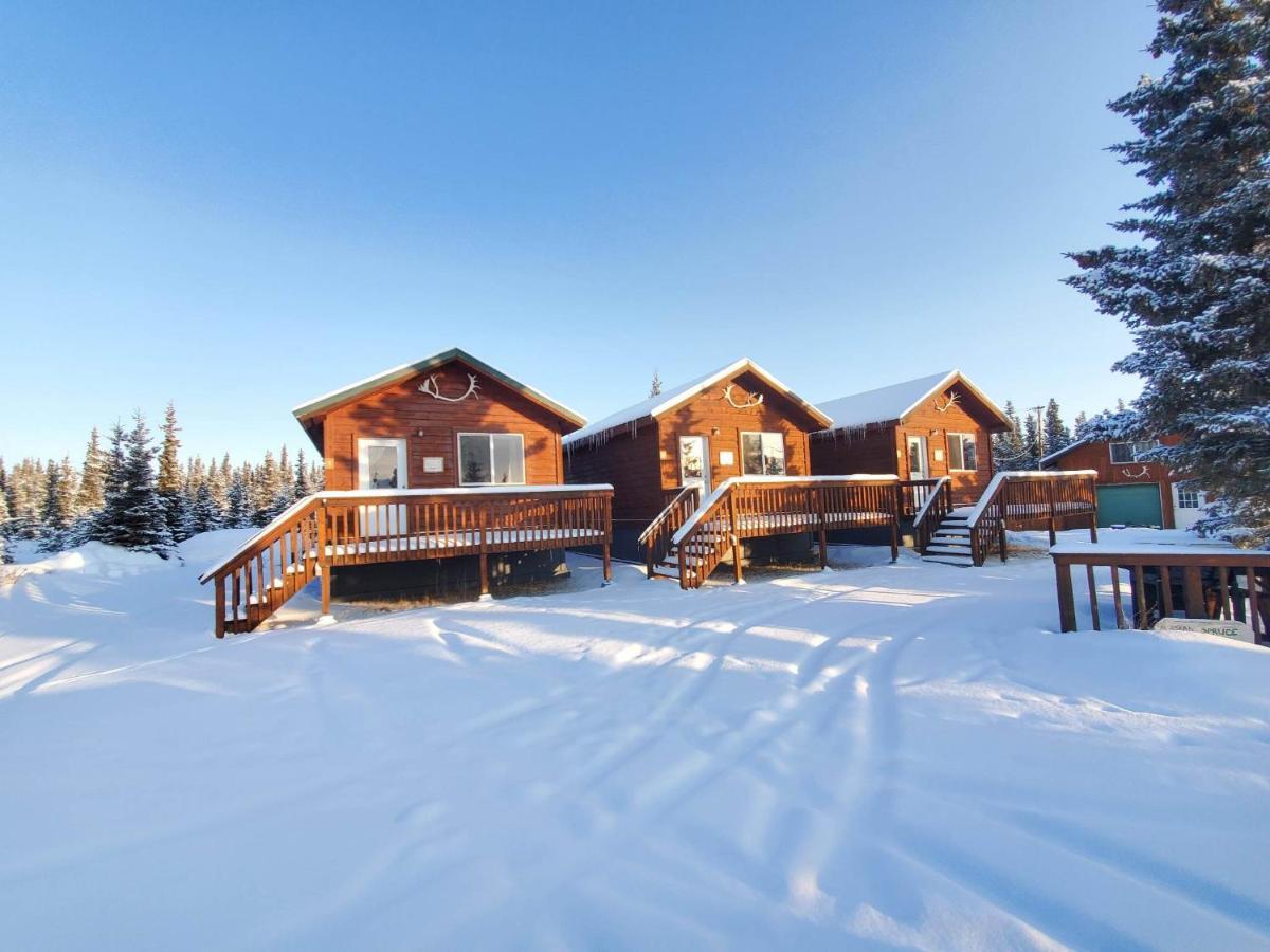 Denali'S Alaskan Spruce Cabins Healy Buitenkant foto