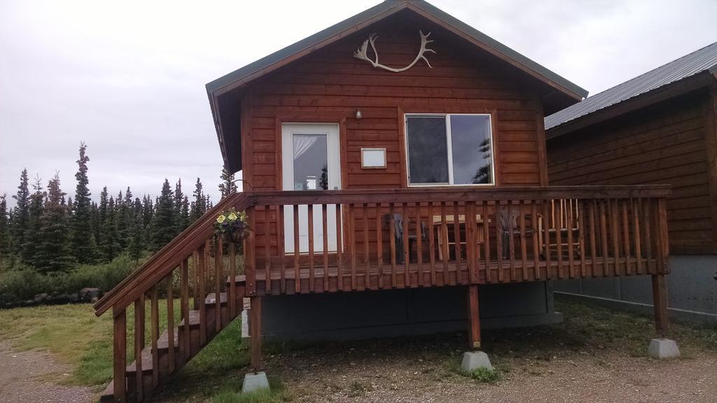Denali'S Alaskan Spruce Cabins Healy Buitenkant foto