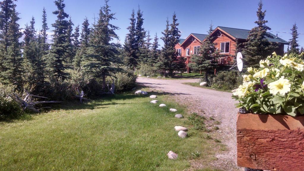 Denali'S Alaskan Spruce Cabins Healy Buitenkant foto