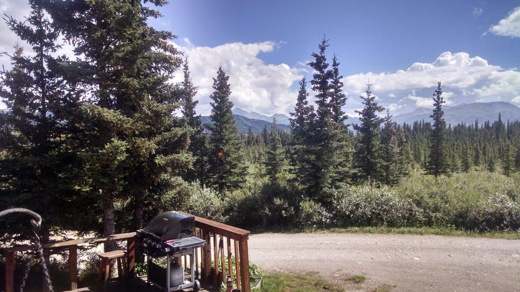 Denali'S Alaskan Spruce Cabins Healy Buitenkant foto