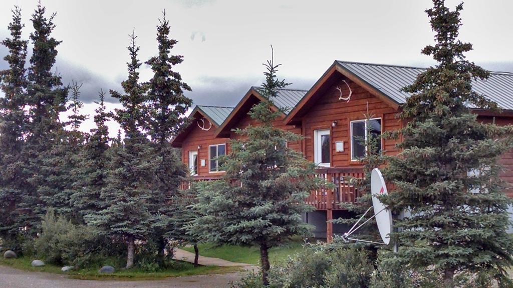 Denali'S Alaskan Spruce Cabins Healy Buitenkant foto