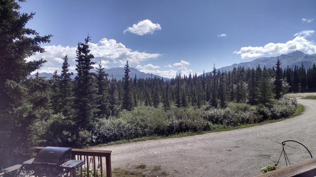 Denali'S Alaskan Spruce Cabins Healy Buitenkant foto