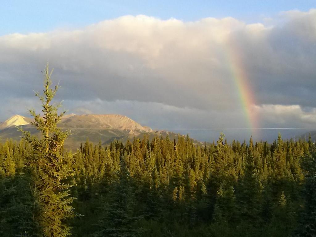 Denali'S Alaskan Spruce Cabins Healy Buitenkant foto