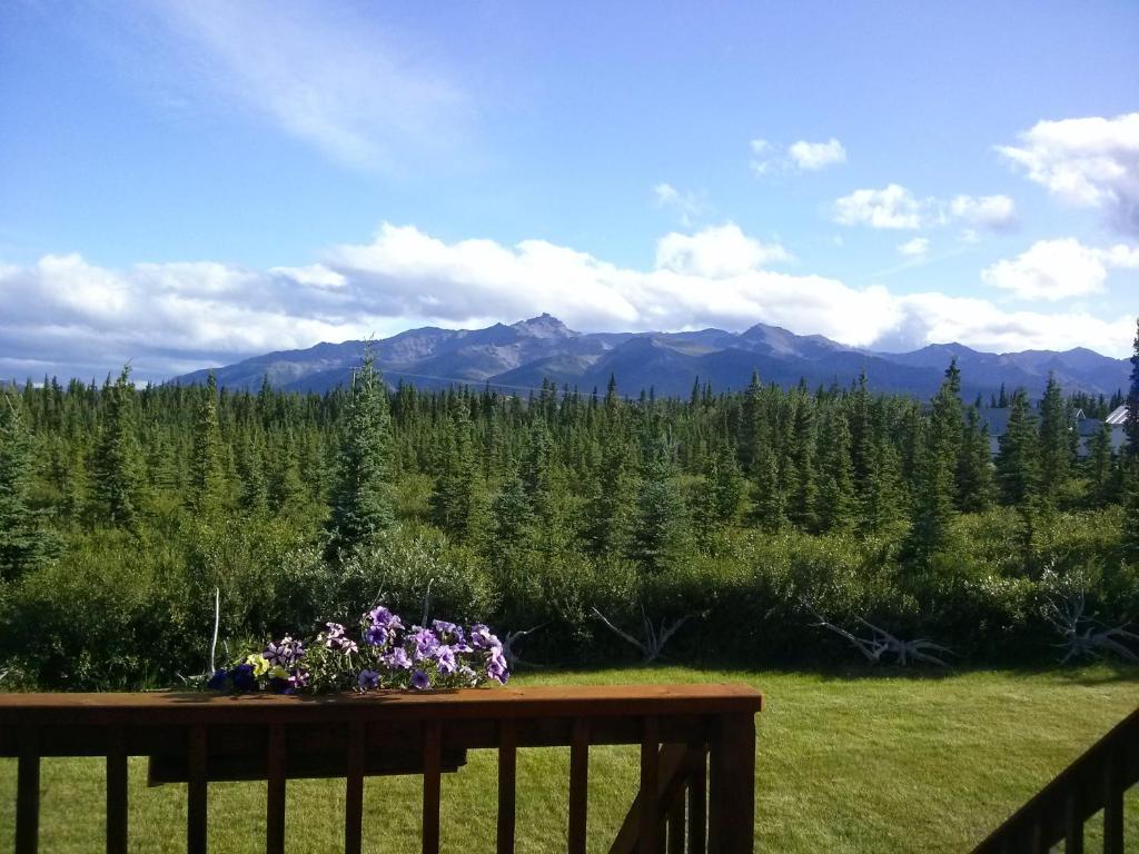 Denali'S Alaskan Spruce Cabins Healy Buitenkant foto