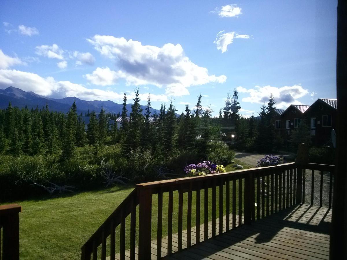 Denali'S Alaskan Spruce Cabins Healy Buitenkant foto